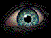 tool-eye.gif (9209 bytes)